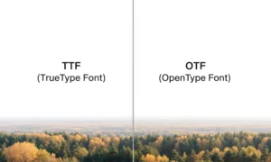 difference between ttf and otf